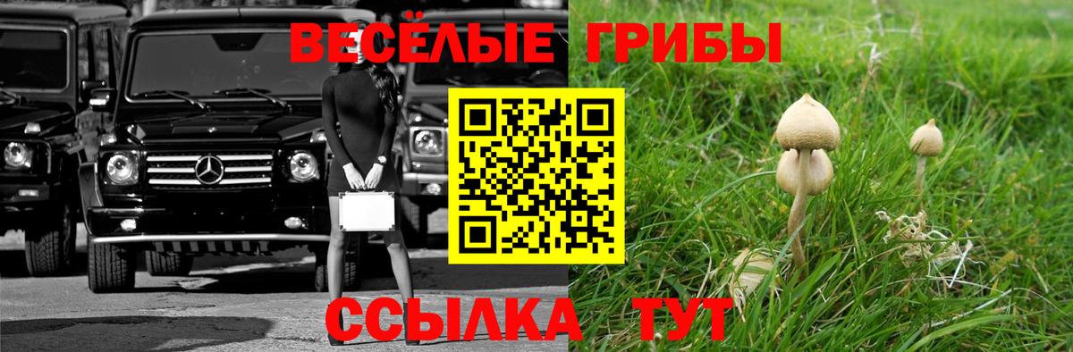 Псилоцибиновые грибы прущие грибы Южно-Сахалинск